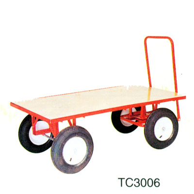 TC3006