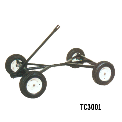 TC3001