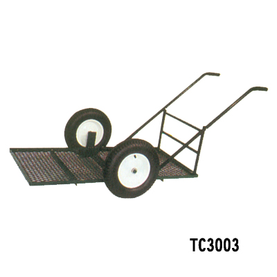 TC3003