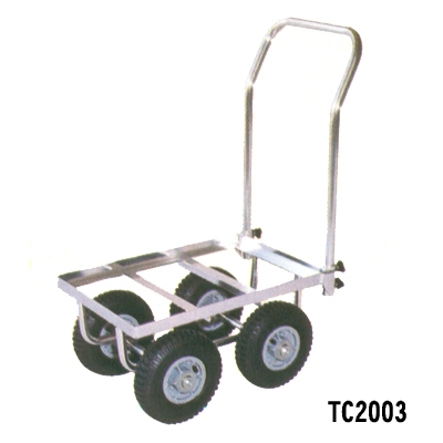 TC2003