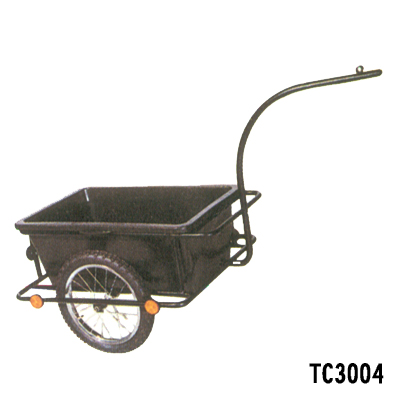 TC3004