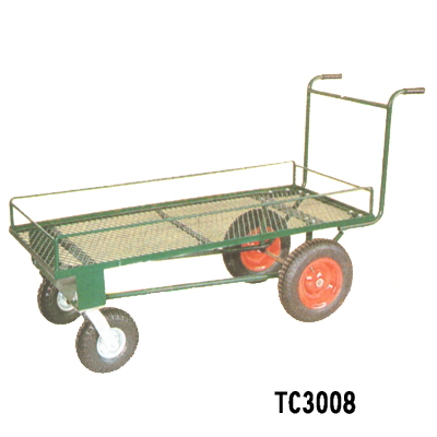 TC3008