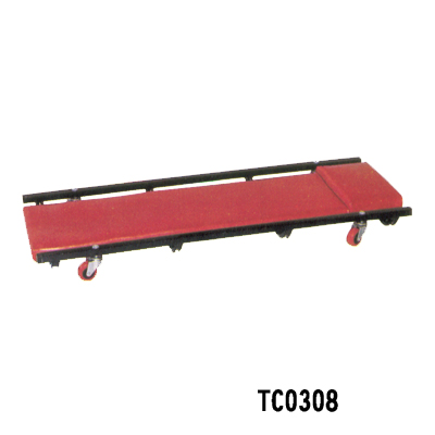 TC0308